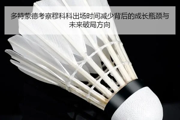 多特蒙德考察穆科科出场时间减少背后的成长瓶颈与未来破局方向